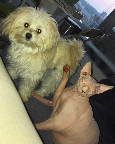 %e5%b1%8f%e5%b9%95%e5%bf%ab%e7%85%a7-2016-11-10-%e4%b8%8b%e5%8d%886-20-17