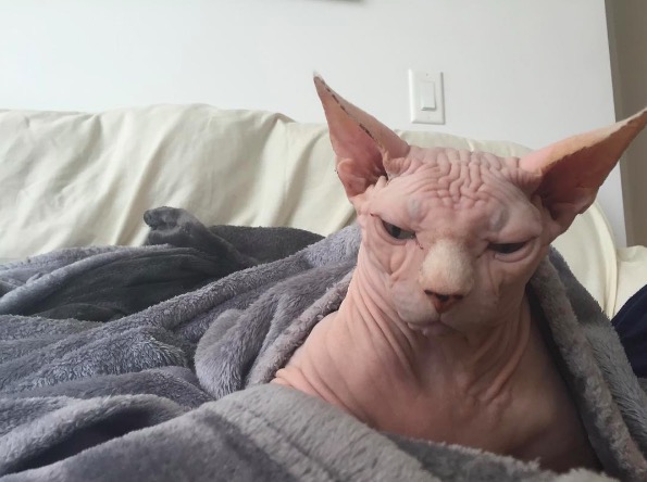 %e5%b1%8f%e5%b9%95%e5%bf%ab%e7%85%a7-2016-11-10-%e4%b8%8b%e5%8d%886-20-42