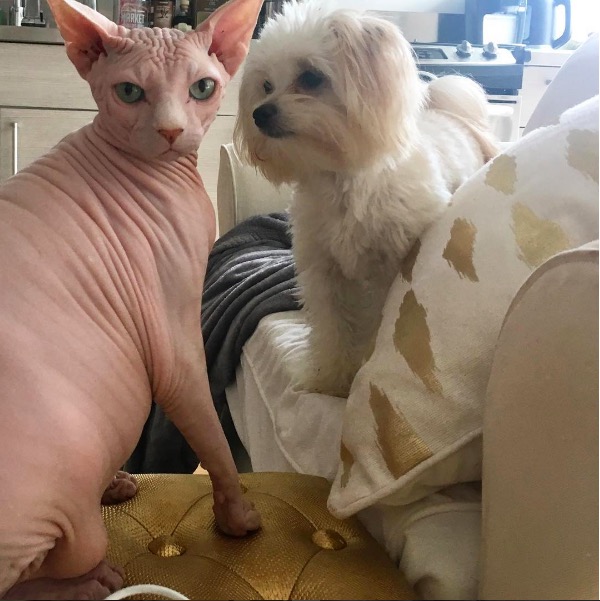 %e5%b1%8f%e5%b9%95%e5%bf%ab%e7%85%a7-2016-11-10-%e4%b8%8b%e5%8d%886-23-27