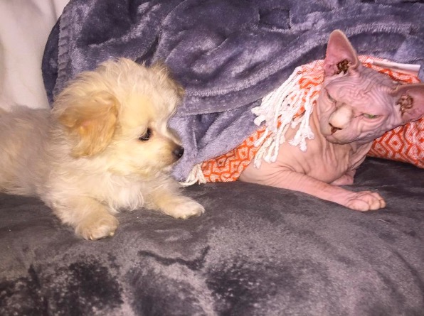 %e5%b1%8f%e5%b9%95%e5%bf%ab%e7%85%a7-2016-11-10-%e4%b8%8b%e5%8d%886-23-46