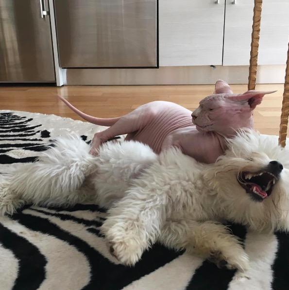 %e5%b1%8f%e5%b9%95%e5%bf%ab%e7%85%a7-2016-11-10-%e4%b8%8b%e5%8d%886-24-08