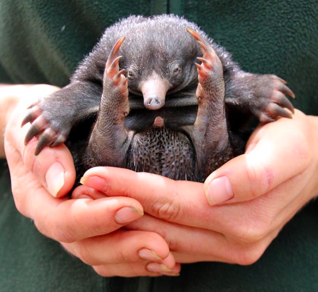 %e5%b1%8f%e5%b9%95%e5%bf%ab%e7%85%a7-2016-11-25-%e4%b8%8b%e5%8d%887-40-04