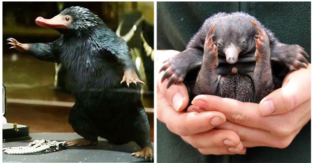 %e5%b1%8f%e5%b9%95%e5%bf%ab%e7%85%a7-2016-11-25-%e4%b8%8b%e5%8d%887-40-12