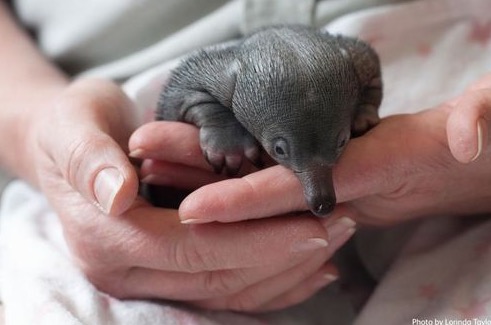 %e5%b1%8f%e5%b9%95%e5%bf%ab%e7%85%a7-2016-11-25-%e4%b8%8b%e5%8d%888-13-17