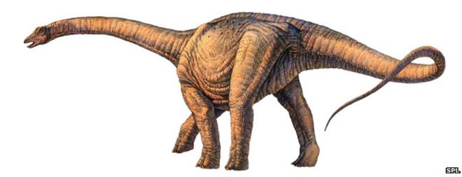 _74905252_e4460505-argentinosaurus_dinosaur-spl