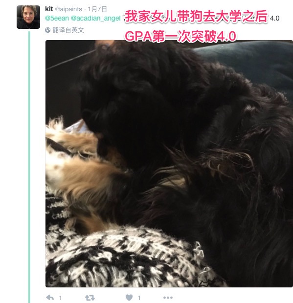 屏幕快照_2017-01-16_下午5_57_32