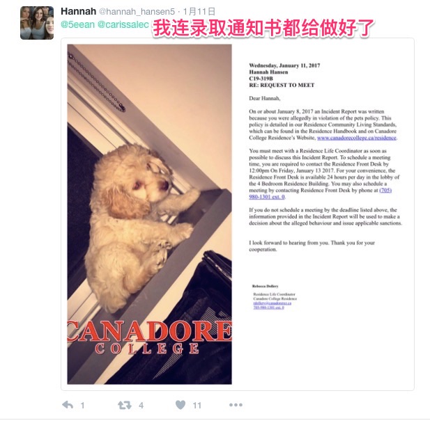 屏幕快照_2017-01-16_下午6_04_48