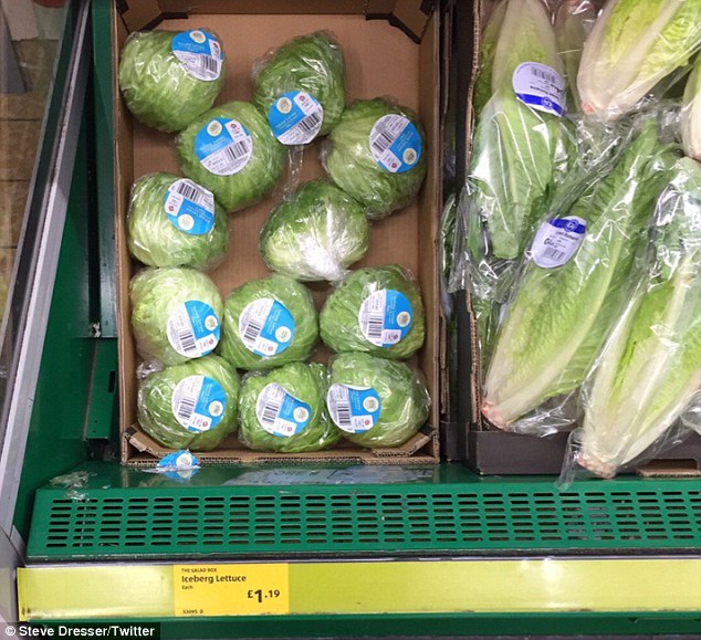 3CC528F700000578-4185686-Iceberg_lettuces_were_available_to_buy_from_Aldi_stores_but_for_-m-89_1486066734557