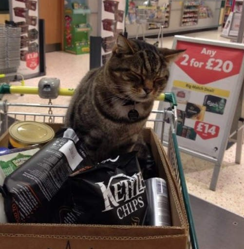 QQ截图20170201170711