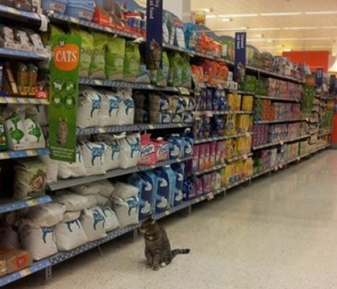 QQ截图20170201171357