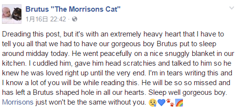 QQ截图20170201174147