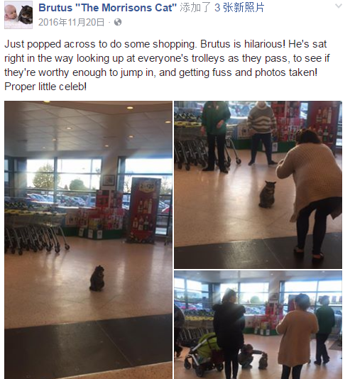 QQ截图20170201174356