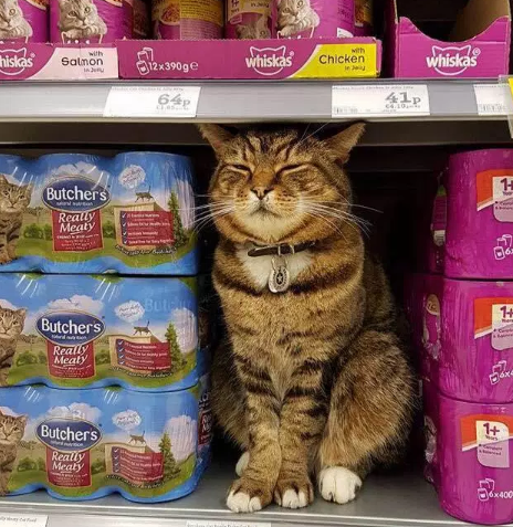 QQ截图20170201174950