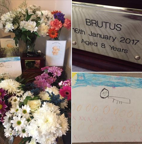 QQ截图20170201175407