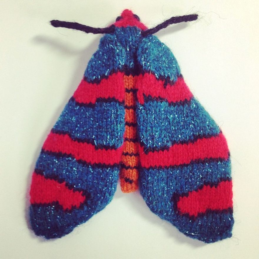 Spectacular-hand-knitted-moths-58ad41334068a__880