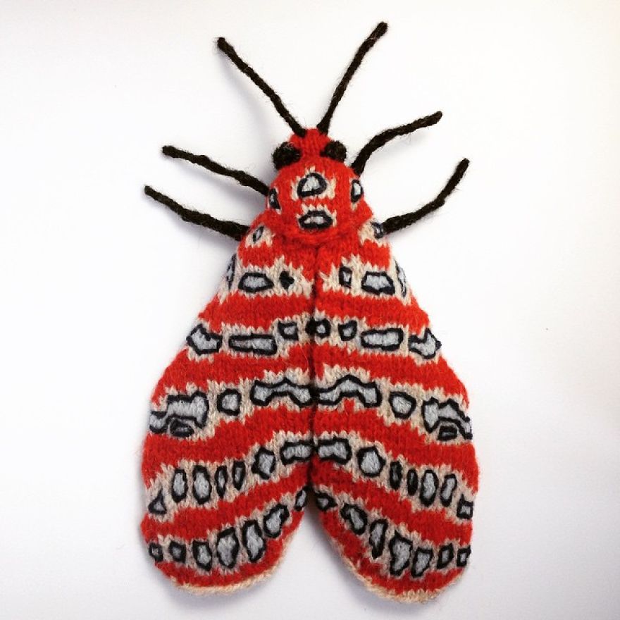 Spectacular-hand-knitted-moths-58ad413c52229__880