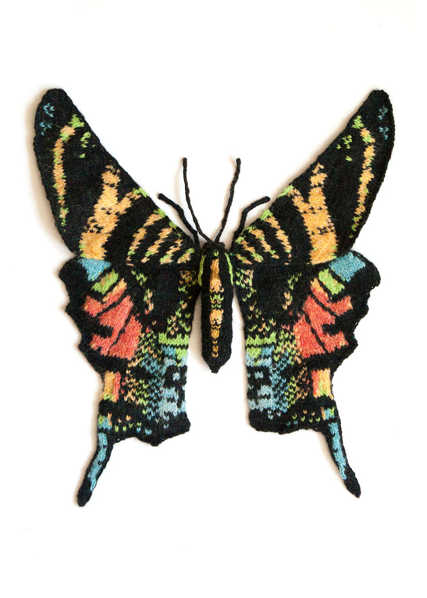 Spectacular-knitted-moths-made-from-shetland-wool-58ac015684f33__880