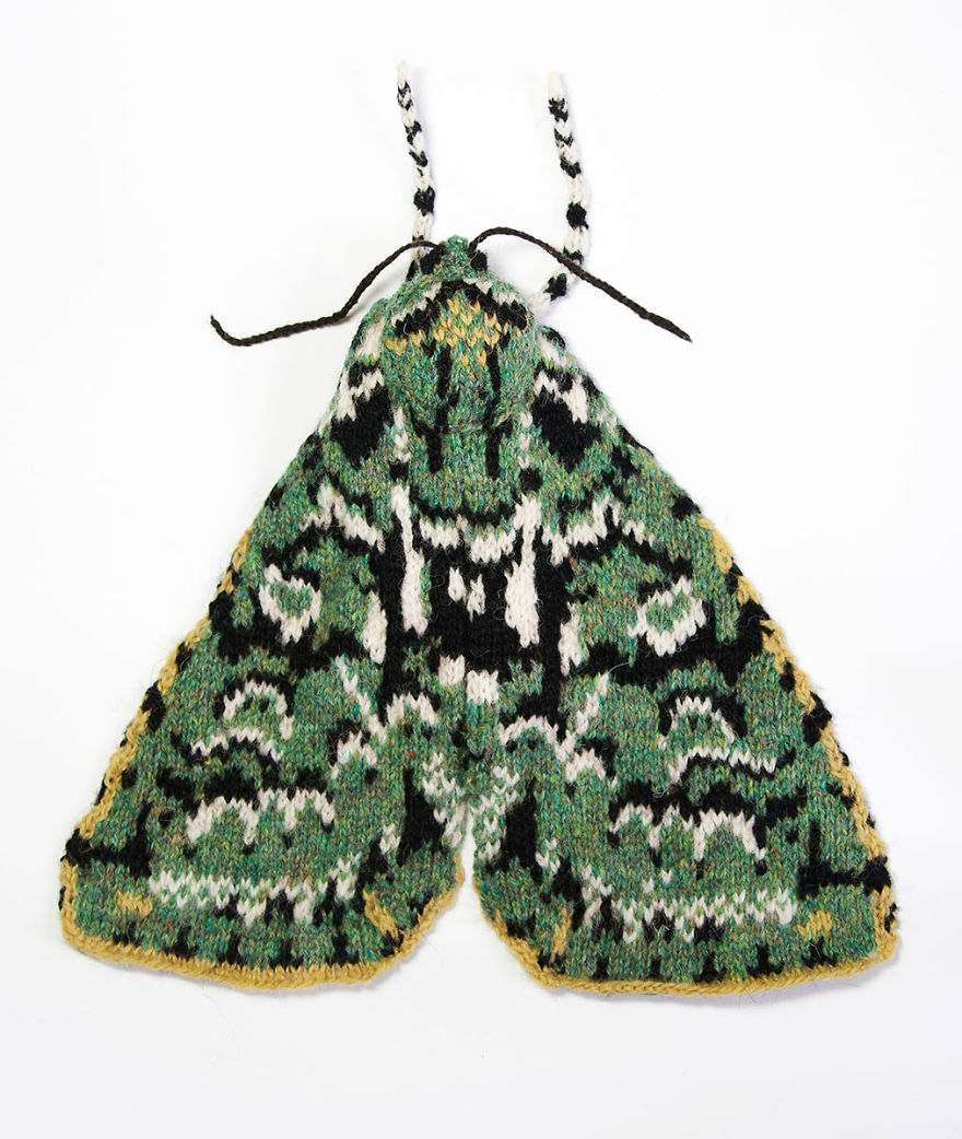 Spectacular-knitted-moths-made-from-shetland-wool-58ac018a1bc66__880