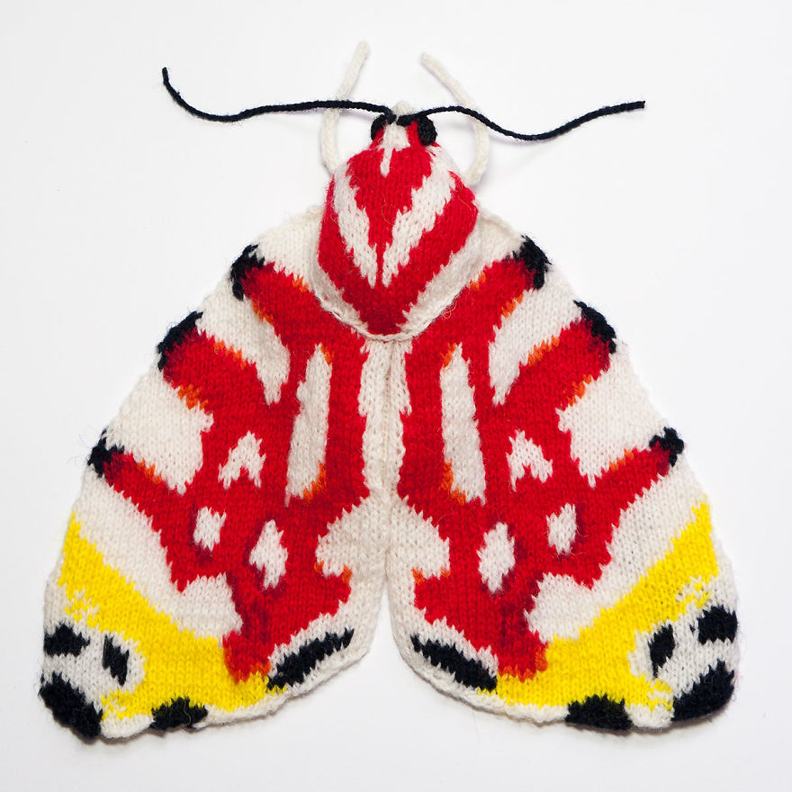 Spectacular-knitted-moths-made-from-shetland-wool-58ac01d45a025__880