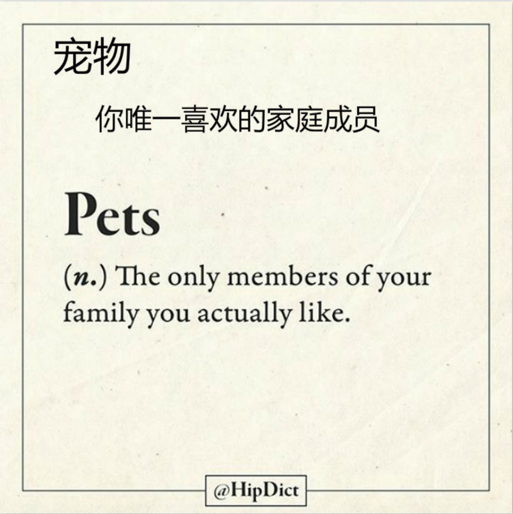 屏幕快照 2017-02-10 下午5.37.16