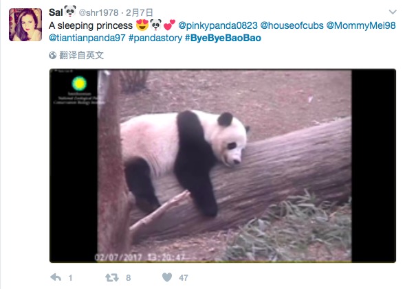 屏幕快照 2017-02-18 上午11.25.57