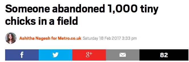 屏幕快照 2017-02-19 下午2.10.24