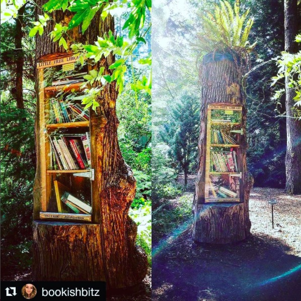 屏幕快照 2017-02-20 下午10.56.04