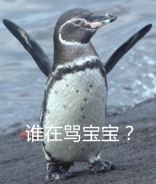 23-8_副本