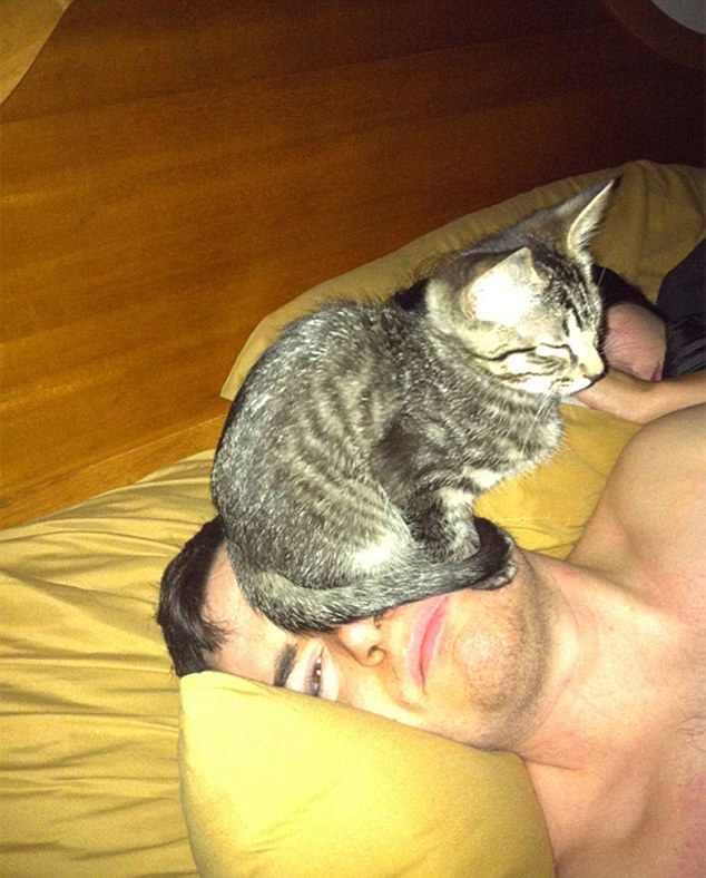 Cat owners have posted photos of their pussies, who do not care about personal space, in a hilarious on-line gallery. ***** TNI Press Ltd does not hold or assert any Copyright or License in the attached image. Any fees paid to TNI are for TNIs services only. Such fee does not, nor is it intended to, convey to the user any Copyright or License in the image. By publishing this image, the user expressly agrees to indemnify TNI against any claims, demands, or causes of action arising from, or connected in any way, with the user's publication of the image.