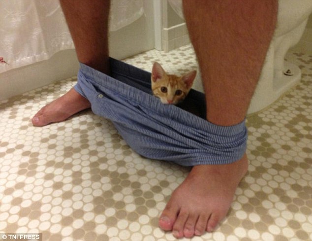 3E40616100000578-4311950-Do_you_mind_One_man_was_unable_to_pop_to_the_loo_without_his_pus-a-43_1489488102300