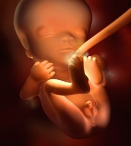 Biomedical illustration of week 11 in fetal development. By this point in development the sex of the baby has begun to develop, male genitalia. Series.