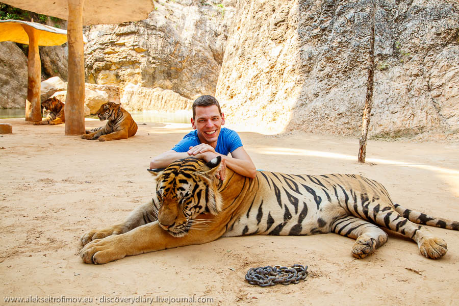 IMG_32594-BANGKOK-TIGER-TEMPLE