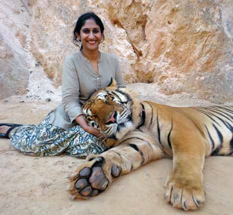 Tiger-Temple-Thialand-Tourist-Glo