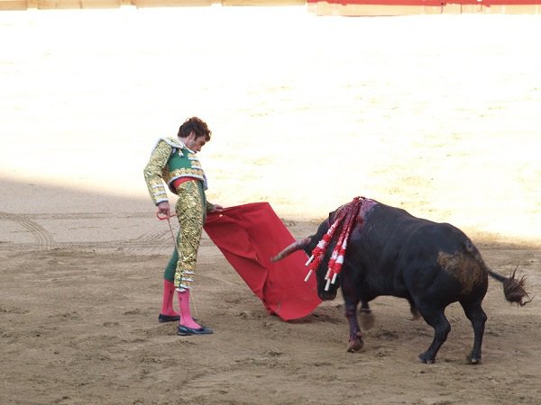 bullfights-matador-spain-torero-bulls-1247617