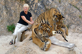 tiger_temple_bangkok
