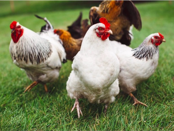 屏幕快照 2017-03-06 下午10.43.54