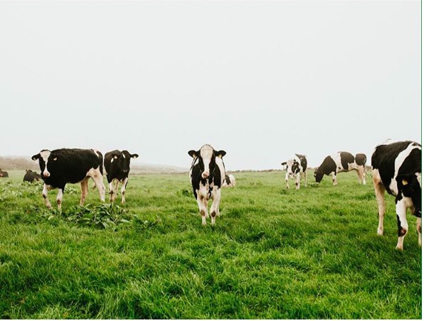 屏幕快照 2017-03-06 下午10.45.40