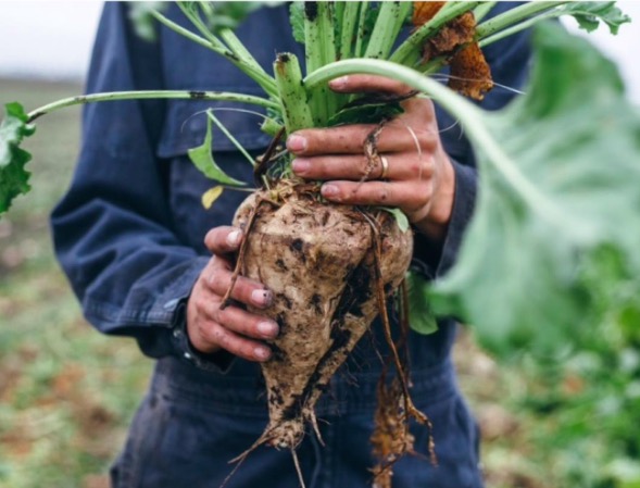 屏幕快照 2017-03-06 下午10.48.55