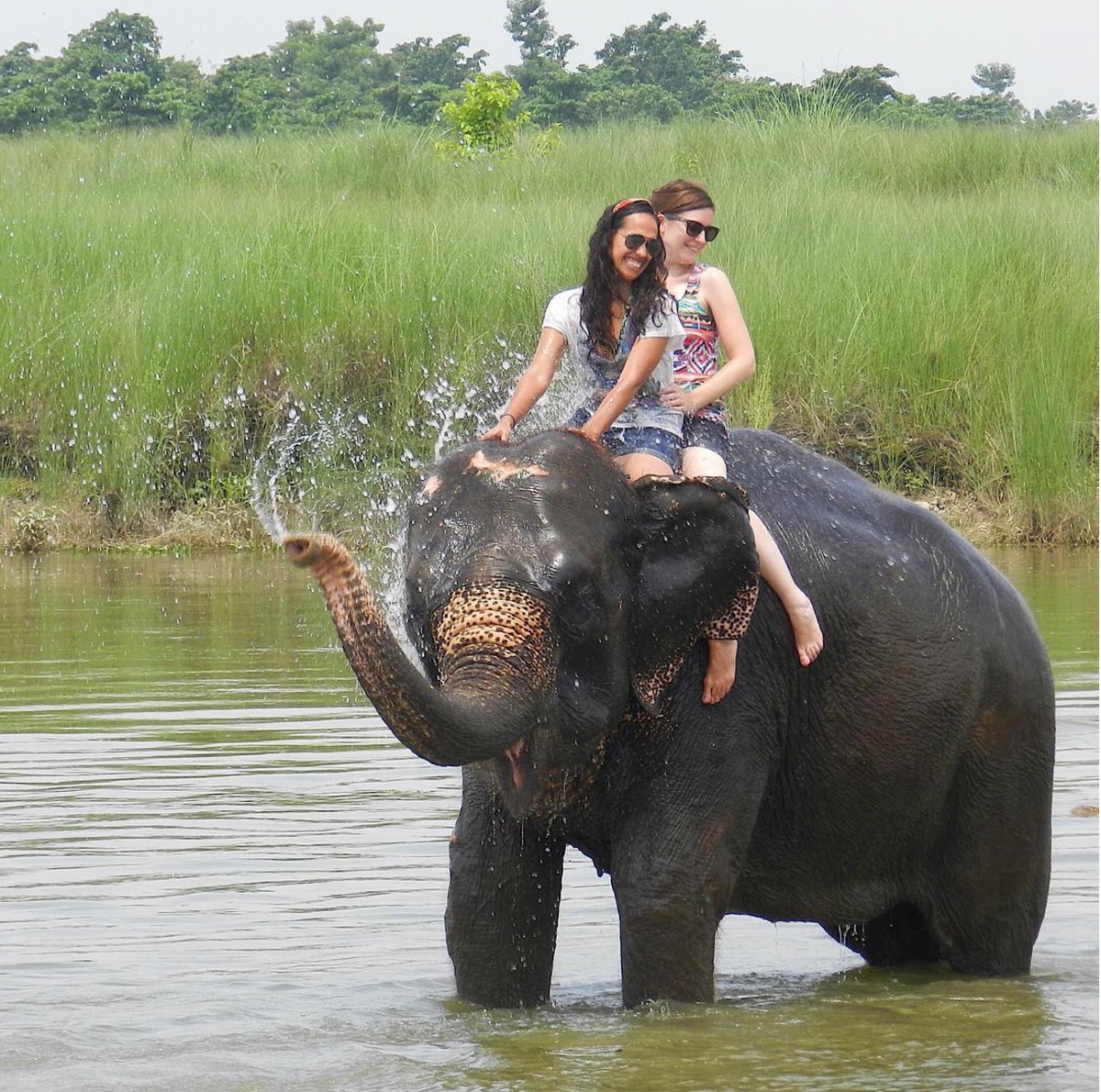 屏幕快照 2017-03-14 下午1.51.45