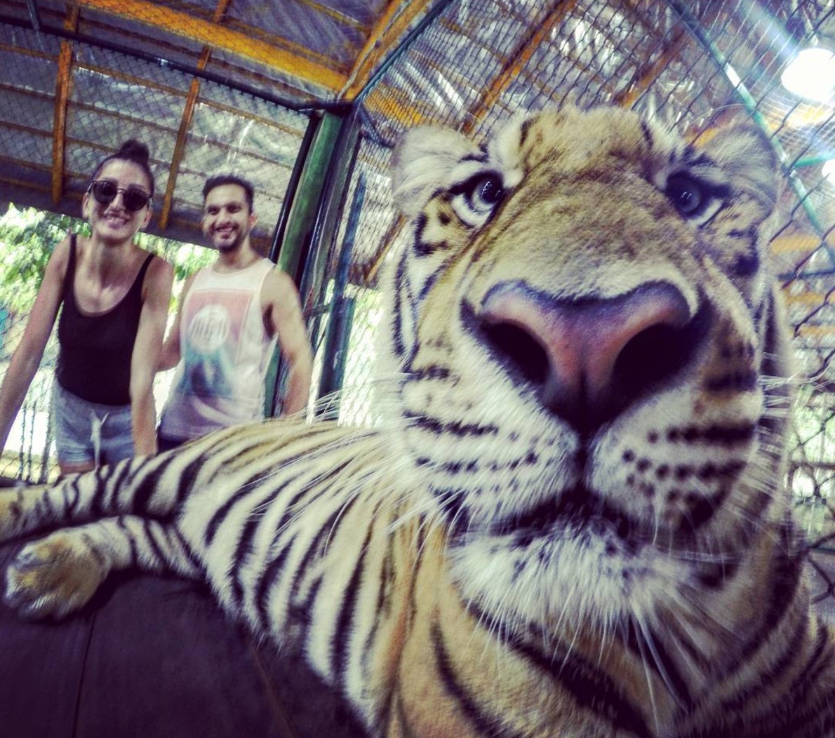 屏幕快照 2017-03-14 下午1.53.56