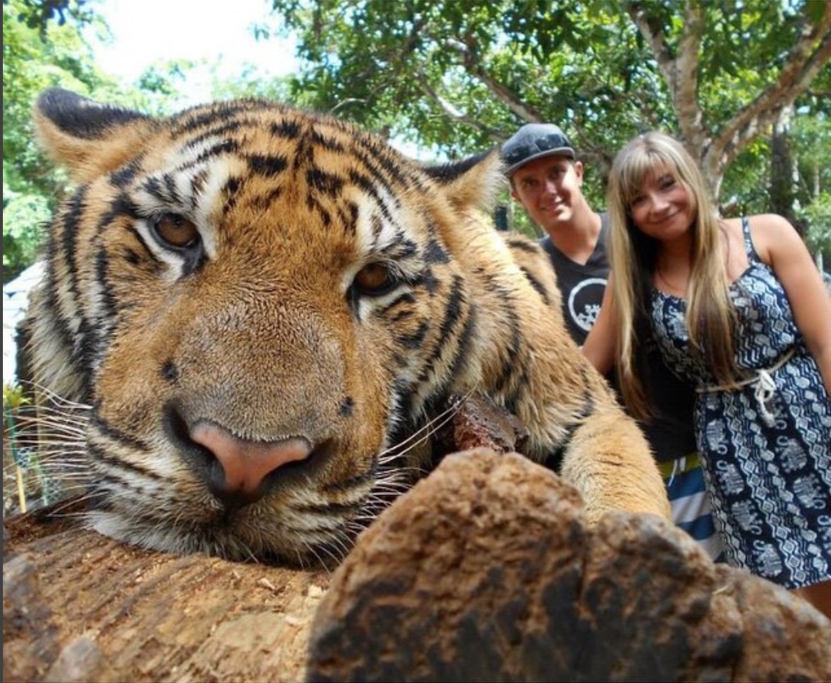 屏幕快照 2017-03-14 下午1.54.58