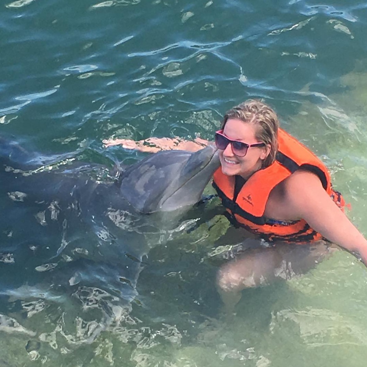 屏幕快照 2017-03-14 下午2.04.46