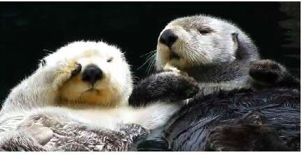 屏幕快照 2017-03-22 下午10.10.13