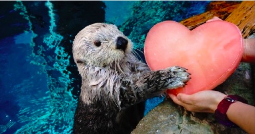 屏幕快照 2017-03-22 下午10.12.08