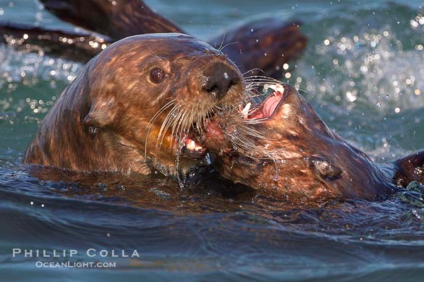 屏幕快照 2017-03-22 下午10.16.08