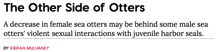 屏幕快照 2017-03-22 下午10.25.46