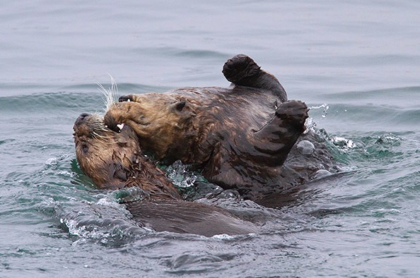 屏幕快照 2017-03-22 下午10.34.48