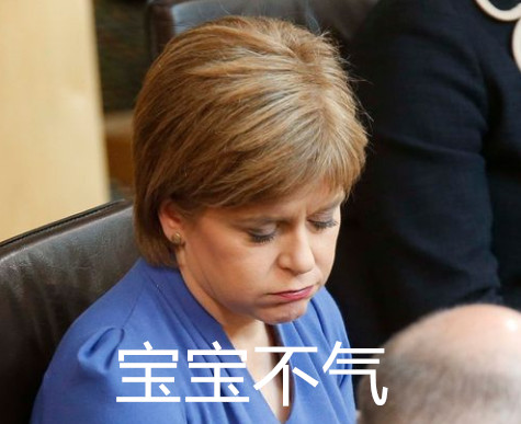 苏格兰领袖1