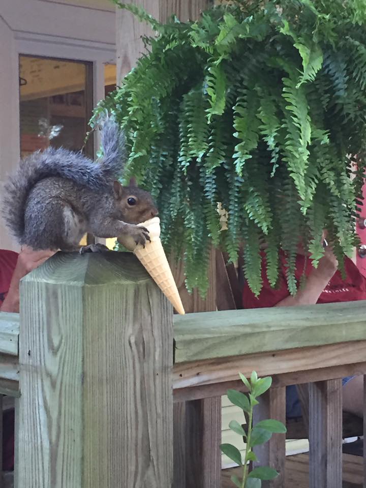 14232385_1348300751849980_1309131393150899691_n