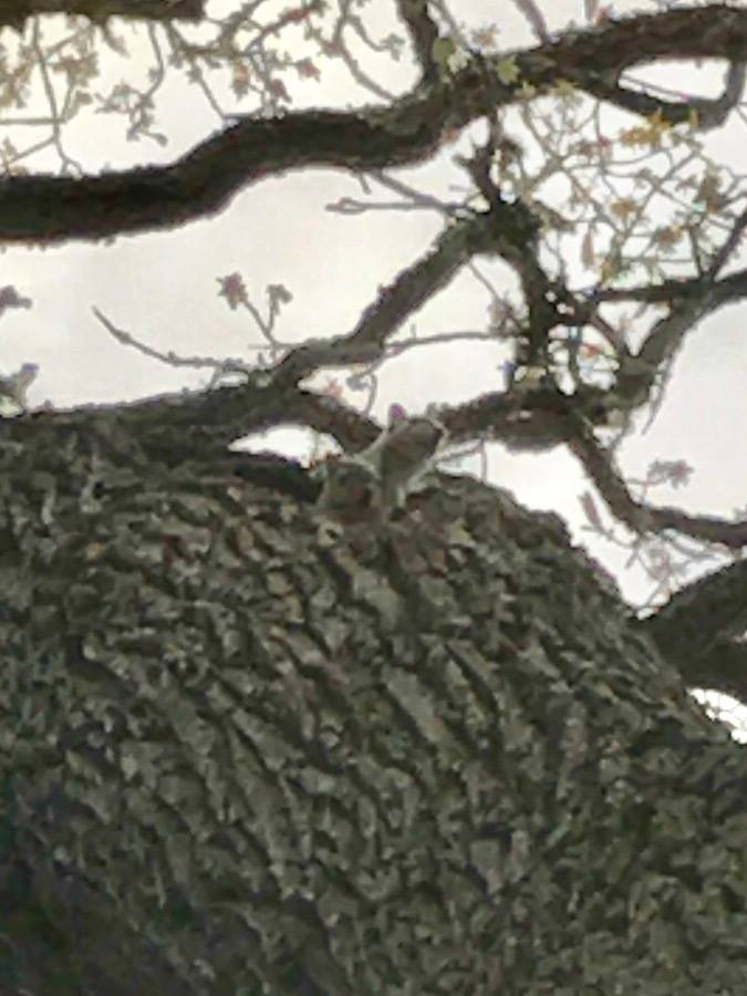 17884170_1600151193331600_2760722162632755107_n